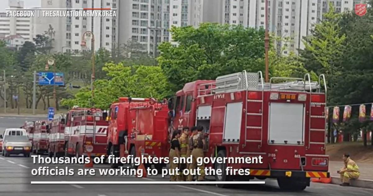 Tausende von Feuerwehrleuten sind im Einsatz gegen die Waldbrände in Südkorea.